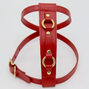 Rotes Hundegeschirr