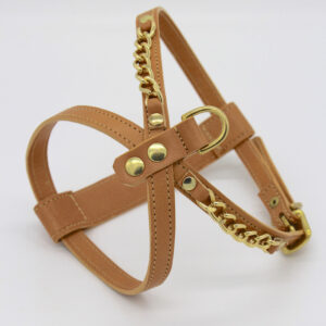 Limitiertes Beige Set