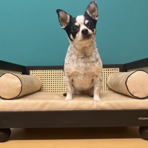 Hundebett mit Wiener Geflecht